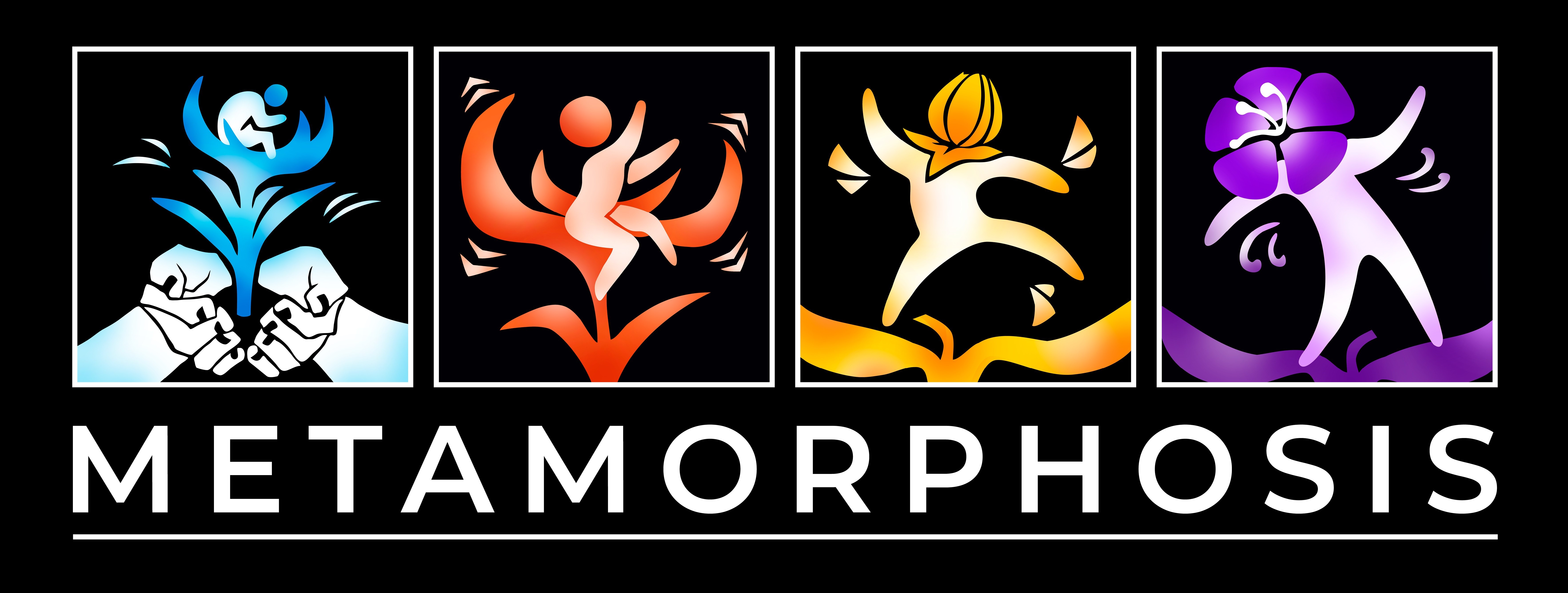 Metamorphosis graphics